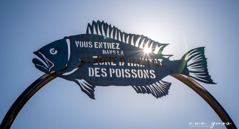 Programme de la Fête de la Biodiversité Marine 2021