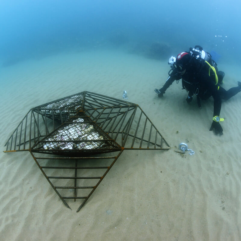 Welcome to the Port Fréjus underwater trail